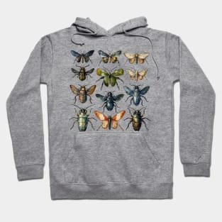 Vintage Insect Entomology Hoodie